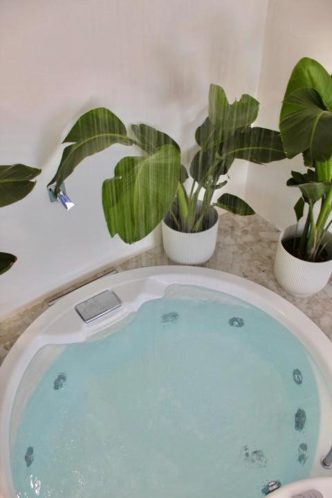 Cuore Del Cilento Relais&Retreat 卡斯特拉巴特 外观 照片